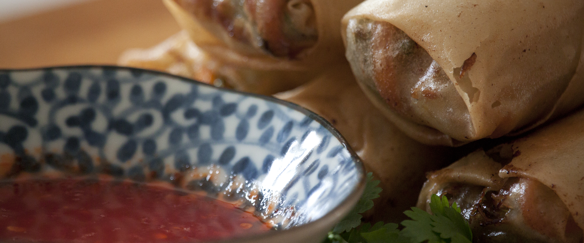 Crispy Spring Rolls